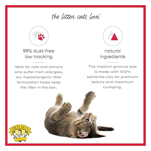 Dr. Elsey's Premium Clumping Cat Litter - Cat Attract - 99% Dust-Free, Low Tracking, Hard Clumping, Superior Odor Control, Natural Herbal Attractant, Unscented & Natural Ingredients, 40 lb