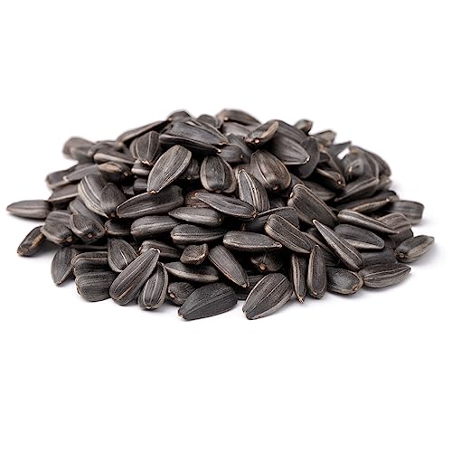 Backyard Seeds Black Oil Sunflower Seeds for Wild Birds 50lbs - Thin Shells, Premium Cardinal Food, Large Bulk Bag of Black Oil Sunflower Seeds