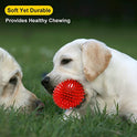 VITEVER 3.5” Squeaky Dog Toy Balls (6 Colors) Puppy Chew Toys for Teething, BPA Free Non-Toxic, Spikey Dog Balls for Medium, Large & Small Dogs, Durable Toys for Aggressive Chewers