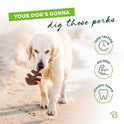Benebone Fishbone Durable Dog Chew Toy for Aggressive Chewers, Real Fish, Made in USA, Medium