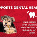 Rewardables | Healthy Chewers | Natural Collagen and Beef Sticks for Dogs | 100 Count | High Protein and Limited Ingredient Dog Chews