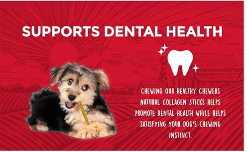 Rewardables | Healthy Chewers | Natural Collagen and Beef Sticks for Dogs | 100 Count | High Protein and Limited Ingredient Dog Chews