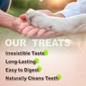 A Freschi srl Turkey Tendons for Dogs, USA-Sourced Human Grade, Rawhide-Free Long-Lasting Puppy Chews, All Natural Hypoallergenic Dog Treats for Small Breeds, Strips, 3oz Pack