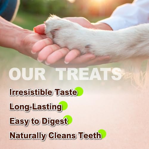 A Freschi srl Turkey Tendons for Dogs, USA-Sourced Human Grade, Rawhide-Free Long-Lasting Puppy Chews, All Natural Hypoallergenic Dog Treats for Small Breeds, Strips, 3oz Pack