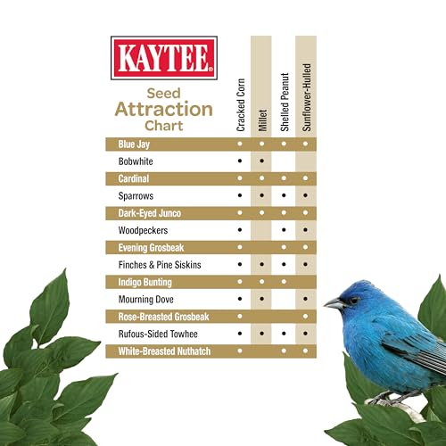 Kaytee Wild Bird (No Mess or Waste Free) Food Seed Blend For Blue Jays, Woodpeckers, Juncos, Cardinals, Grosbeaks, Sparrows, and Finches, 10 Pound, (Packaging May Vary)