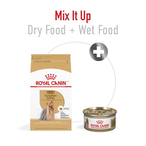Royal Canin Breed Health Nutrition Yorkshire Terrier Adult Dry Dog Food, 2.5 lb Bag