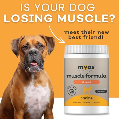 All-Natural Muscle Building Supplement - Helps Reduce Muscle Loss in Dogs Due to Normal Aging and Improves Recovery from Injury or Surgery