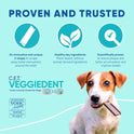 Virbac C.E.T.® VEGGIEDENT® FR3SH® Tartar Control Chews for Dogs with digestive health support, VOHC Approved, Medium 22-66lbs