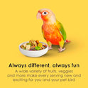 Kaytee Fiesta Conure Food, Nutritious and Fun Blend, Supports Skin, Feather, Digestion, Brain and Heart Health, 4.5 pounds