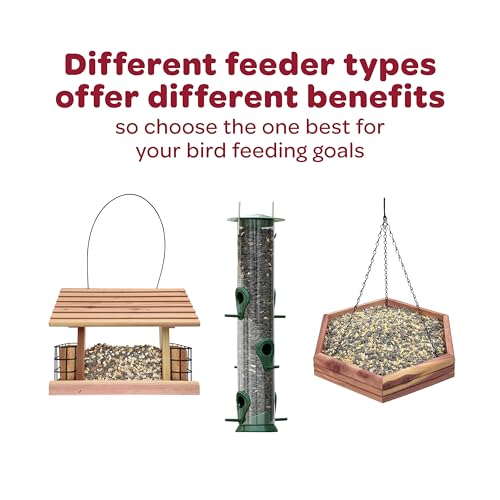 Kaytee Cardinal Wild Bird Seed, 7 lb