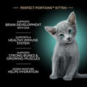 Sheba Perfect Portions Kitten Wet Cat Food Pate Chicken Entree, Salmon Entree, and Turkey Entree, 2.6 oz. Twin-Pack Trays (24 Count, 48 Servings)