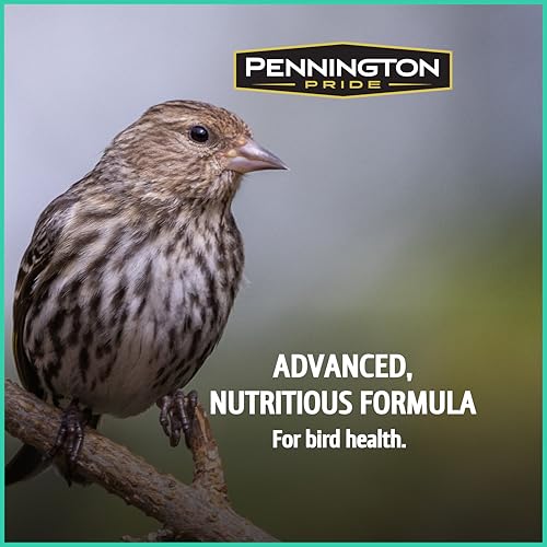 Pennington Pride Wild Finch Blend, Wild Bird Seed for Outside Feeders, Special Mix for a Variety of Musical & Colorful Songbirds, Great Bird Food to Use as Year-Round Feed, 10-lb. Bag
