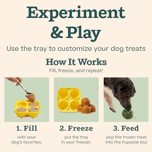 WOOF Starter Pack - Interactive Dog Ball Toy for Boredom - Dog Treat Molds Silicone - Chicken-Flavored Healthy Treats for Dogs - Pupsicle Doggy Enrichment Toy - for Large Pups - 25-75 lbs