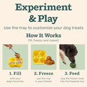 WOOF Starter Pack - Interactive Dog Ball Toy for Boredom - Dog Treat Molds Silicone - Chicken-Flavored Healthy Treats for Dogs - Pupsicle Doggy Enrichment Toy - for Large Pups - 25-75 lbs
