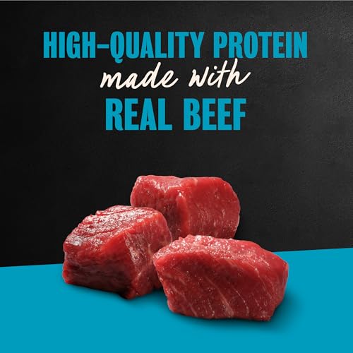 Cesar Filets in Gravy Adult Wet Dog Food Variety Pack, Filet Mignon, New York Strip, and  Rib Flavors, 3.5 oz. Easy Peel Dog Food Tray, 24 Count (Pack of 1)