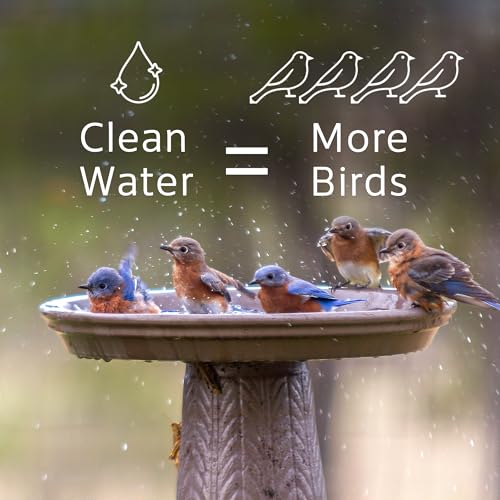 Microbe-Lift Bird Bath Clear Two-in-One Water Cleaner – 4 Oz – Safe for Birds, Fish & Frogs – Cleans Outdoor Birdbaths & Fountains – Natural Formula, Prevents Stains & Cloudiness