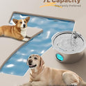 Dog Water Fountain for Large Dogs: 7L/236oz/1.8G Dog Fountain Stainless Steel - Big Cat Drinking Fountain Indoor - Super Quiet Water Fountain for Dogs Inside - for Large Dog Cats & Multi-Pet Home
