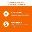 IAMS Proactive Health Dry Cat Food, Healthy Cat Food Dry Recipe for Adults, Salmon, 7 lb. Bag