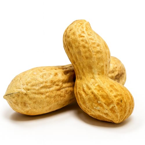 Sky Ecommerce Crazy Nuts | USA Grown Whole in Shell Raw Peanuts for Birds and Squirrels, 10lb | Whole in Shell Peanuts for Birds, Animal Peanuts in The Shell, Bird Peanuts in Shell Unsalted Wildlife