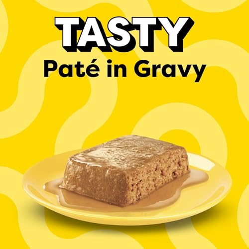 Temptations Pate in Gravy Adult Wet Cat Food Tasty Chicken Entree, Seafood Medley, Backyard Cookout, and Catnip Fever, 3.5 oz. Trays (36 Count, Pack of 1)
