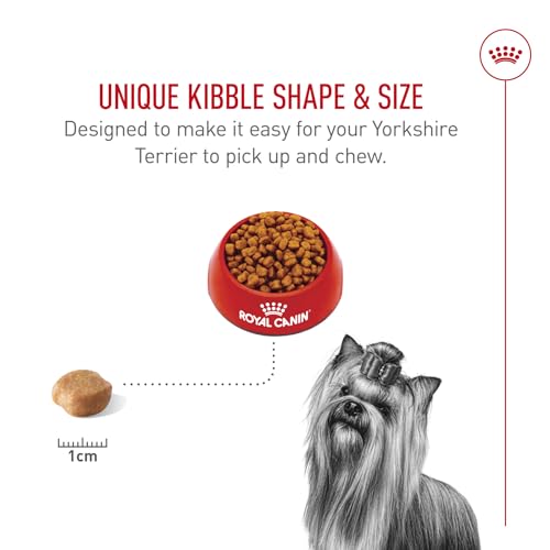 Royal Canin Breed Health Nutrition Yorkshire Terrier Adult Dry Dog Food, 2.5 lb Bag