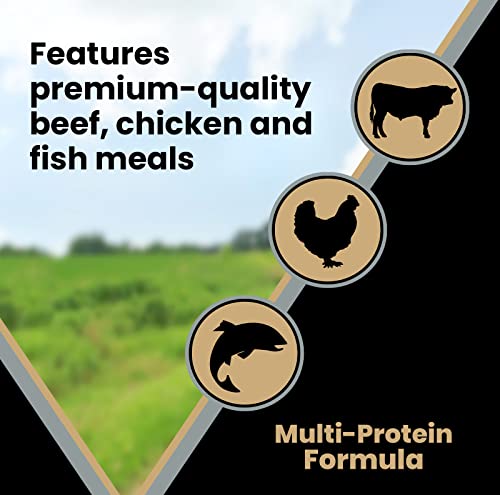 VICTOR Super Premium Dog Food – Purpose – Senior Healthy Weight Management – Dry Dog Food for Adult Dogs – Gluten Free with Glucosamine and Chondroitin, for Hip and Joint Health, 15lbs