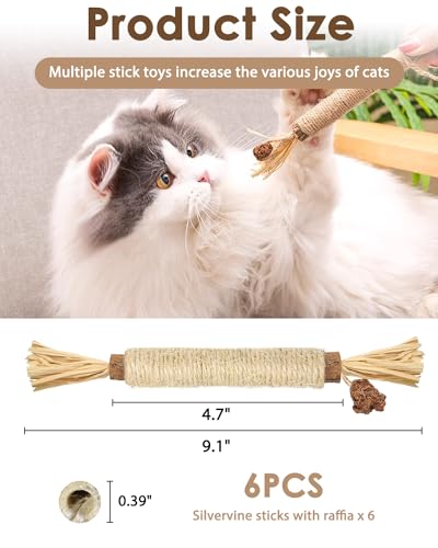 Tocirelo Silvervine Sticks Cat Toys - 6Pack Natural Cat Chew Toy Teeth Cleaning, Matatabi Dental Care Kitten Treat, Catnip Cat Teething Toys, Catmint Silver Vine Sticks for Bored Indoor Kitty