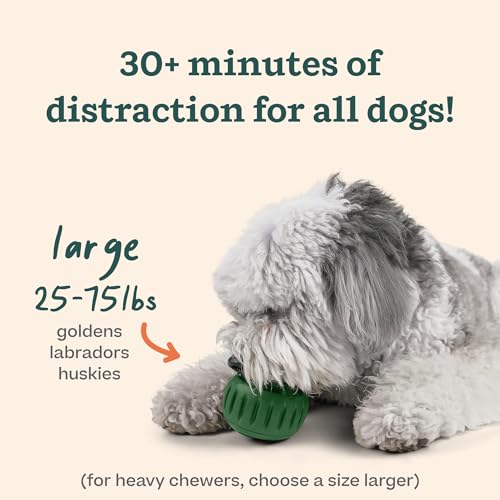WOOF Pupsicle and Treat Tray - Long-Lasting Interactive Dog Ball Toy and Silicone Dog Treat Mold - Keep Your Pup Busy - Easy to Clean - Toys for Medium and Large Dogs 25-75 lbs