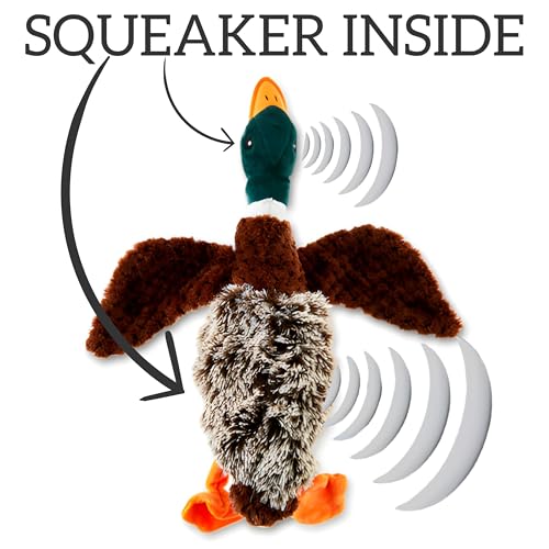 Duck Dog Toy Squeak Toys | Mallard-Shaped | Shaped Pet Toys | Duck Dog Toys for Large Dogs | Mallard Dog Toy | Dog Chew Toys | Stuffed Toys Interactive Animal.