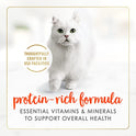 Purina Fancy Feast Salmon Feast Classic Grain Free Wet Cat Food Pate - (Pack of 24) 3 oz. Cans
