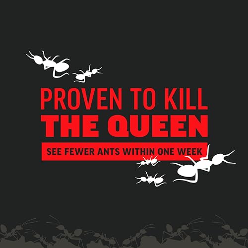Amdro Ant Killer for Outdoor Home Perimeter, 24 Oz | Controls 25 species, outdoor ant bait, works up to 3 months, for lawns, landscaped areas, ornamental gardens