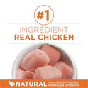 Purina ONE High Protein, Healthy Plus Ideal With Chicken Dry Cat Food Control Formula - 7 lb. Bag