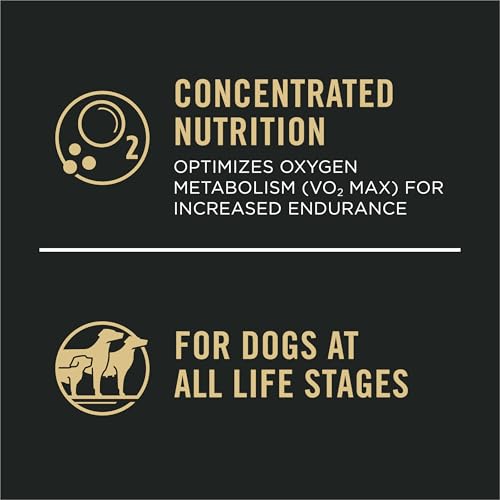 Purina Pro Plan High Protein Dog Food, Sport 30/20 Salmon and Rice Dog Food Dry Formula - 33 lb. Bag