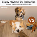 Nocciola Dog Squeaky Toys, 5 PCS Crinkle Plush Dog Toys, No Stuffing Dog Toys for Small Medium Large Dogs, Stuffless Puppy Toys for Boredom