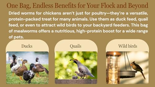 Bulk Dried Mealworms 10Lb Bag -Premium Non-GMO Dried Mealworms for Chicken, Nutritious High Protein - 100% Natural for Laying Hens, Birds, Ducks, Chicken Feed