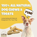 EcoKind Yak Cheese Himalayan Dog Chews, Yak Chews for Large Dogs, Long Lasting Bone for Aggressive Chewers, 3 Ingredients, Natural High Protein Treats, No Additives, Lactose Free, Large - 4 Chews