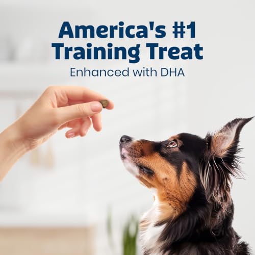 Blue Buffalo Bits Chicken Soft & Chewy Dog Treats, Bite-Sized for Training, Made with Real Chicken & Enhanced with DHA, Heart-Shaped Dog Treats, Made in the USA with Natural Ingredients, 19 oz.