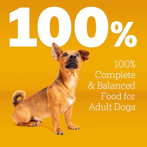 Pedigree Dry Dog Food for Adult Small Dogs, Grilled Steak and Vegetable Flavor, 14 lb. Bag