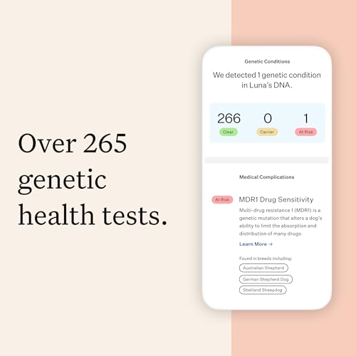 Wisdom Panel Premium Dog DNA Testing Kit - Most Comprehensive Test - 265+ Health Tests, 430+ Dog Breeds, 50+ Traits, Relatives, Ancestry, 1 Pack