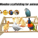 Large Wooden Pine Chick Perch Roosting Bar for Baby Chicks Brooder Coop, Chicken Training Toy Stand