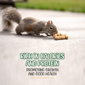 Sneaky Mango - Raw Peanuts in Shell - 10 Pounds – All-Natural Food for Squirrels, Deer, Birds, and Other Wildlife Animals – Grown in the USA for Healthy Nutrition