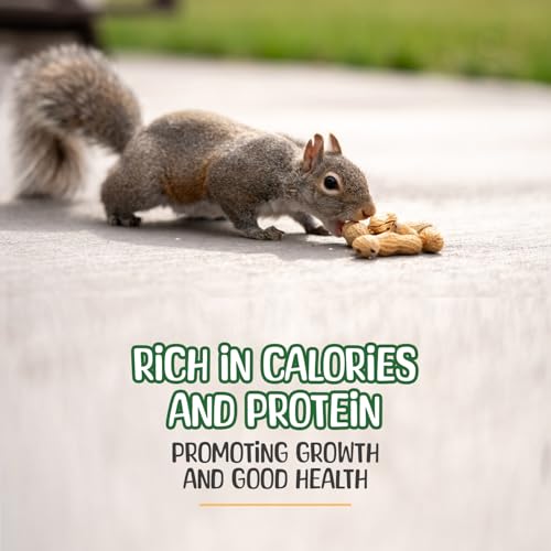 Sneaky Mango - Raw Peanuts in Shell - 10 Pounds – All-Natural Food for Squirrels, Deer, Birds, and Other Wildlife Animals – Grown in the USA for Healthy Nutrition