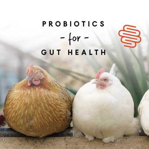 Manna Pro Chicken Feed, 16% Protein Layer Crumbles with Probiotics for Digestive Health, Complete Feed for Laying Hens to Support Egg Production, Nutrient-Rich Chicken Food, Made in USA, 8 lb Bag
