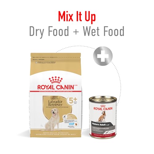 Royal Canin Breed Health Nutrition Labrador Retriever 5+ Mature Dry Dog Food, 28 lb Bag