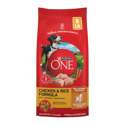 Purina ONE Chicken and Rice Formula Dry Dog Food - 8 lb. Bag