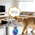 Cat Water Fountain Advanced 304 Stainless Steel 2.2L/74oz with Detachable Tank, Easy to Clean, Automatic Pet Fountain Quiet Cats Water Dispenser, Perfect for Cats Dogs Indoor