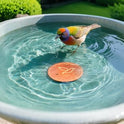 2-Pack Bird Bath Copper Disk, 0.6mm Thick 99.9% Pure Copper Cleaning Disk with Triple-Point Support, Safe Nature’s Purifier Clean Water All Season, Universal for Outdoor Birdbaths Bowls