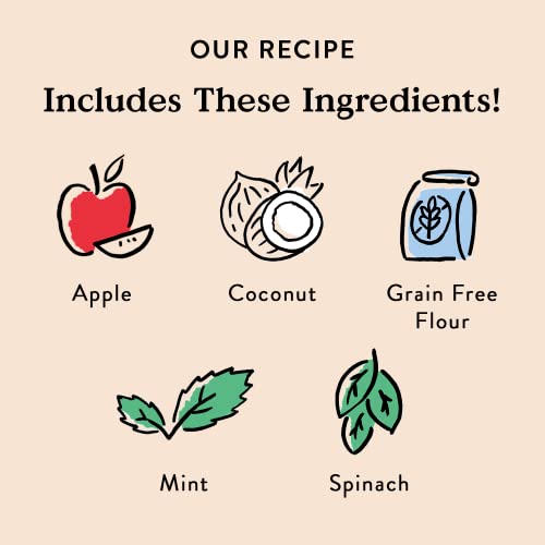 Bocce's Bakery Dailies Brushy Sticks to Support Oral Health & Fresh Breath, Wheat-Free Dental Bars for Dogs, Made with Real Ingredients, Baked in The USA, Natural Coconut & Mint, Medium Dogs