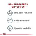 Royal Canin Feline Health Nutrition Indoor Adult Dry Cat Food, 7 lb Bag