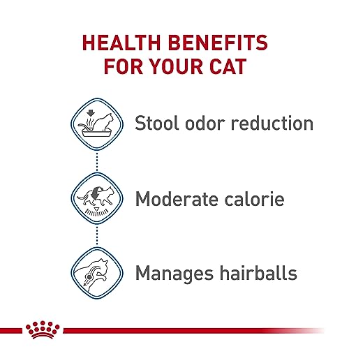 Royal Canin Feline Health Nutrition Indoor Adult Dry Cat Food, 7 lb Bag